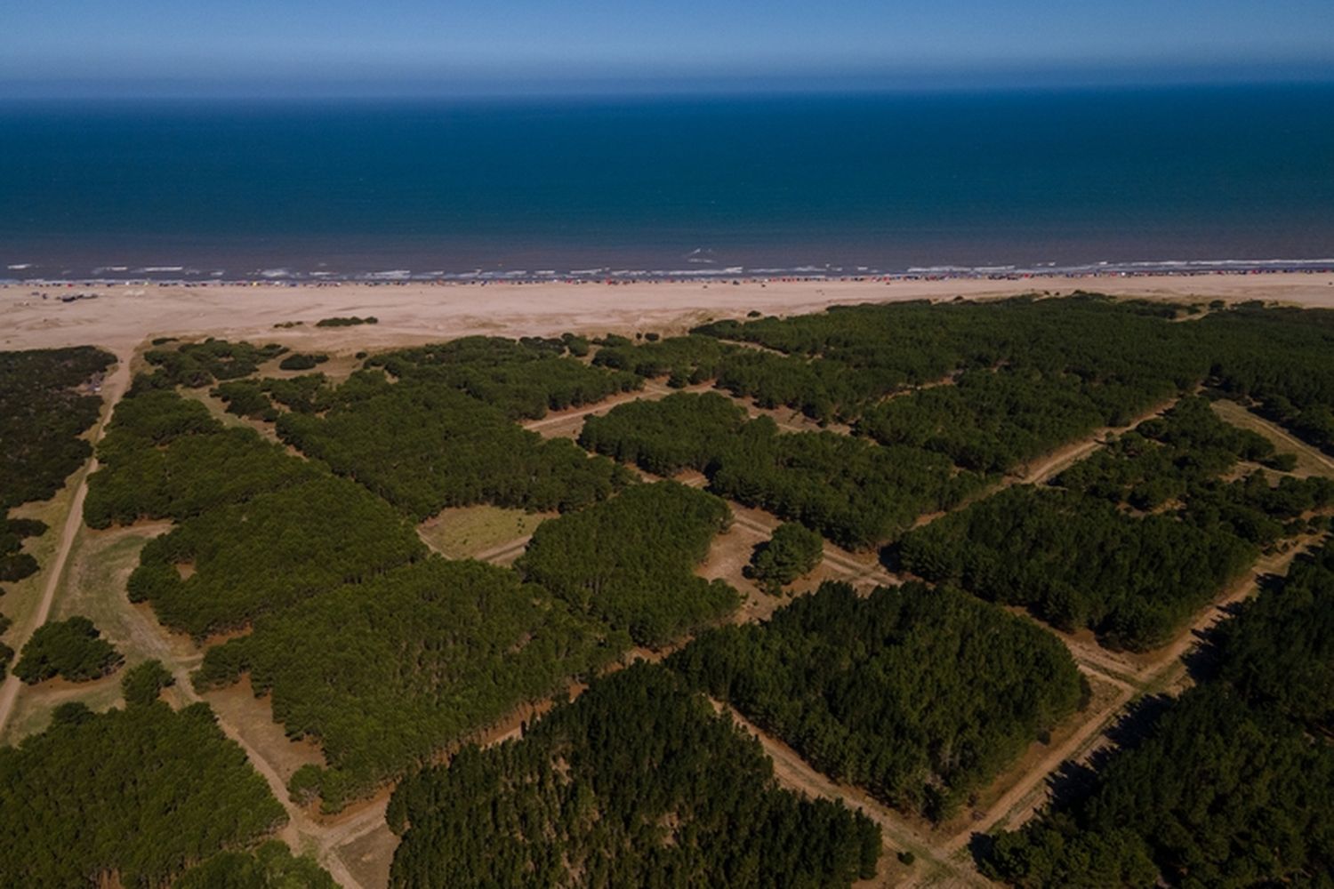 Pinamar: Municipio aseguró que avanzarán en el proyecto Montecarlo, la ciudad balnearia proyectada hace un siglo