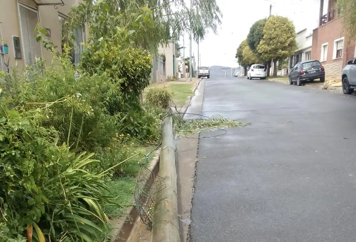 Un poste se cayó en Dinamarca al 300 y el otro en Vicente López al 400.