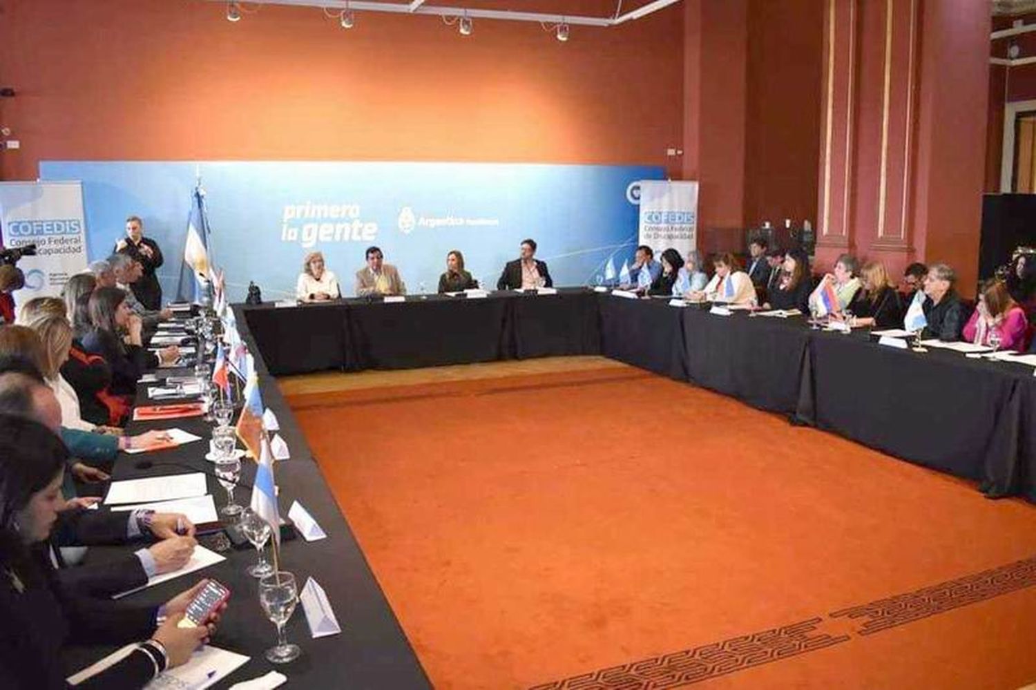 Formosa en asamblea del Consejo Federal de Discapacidad