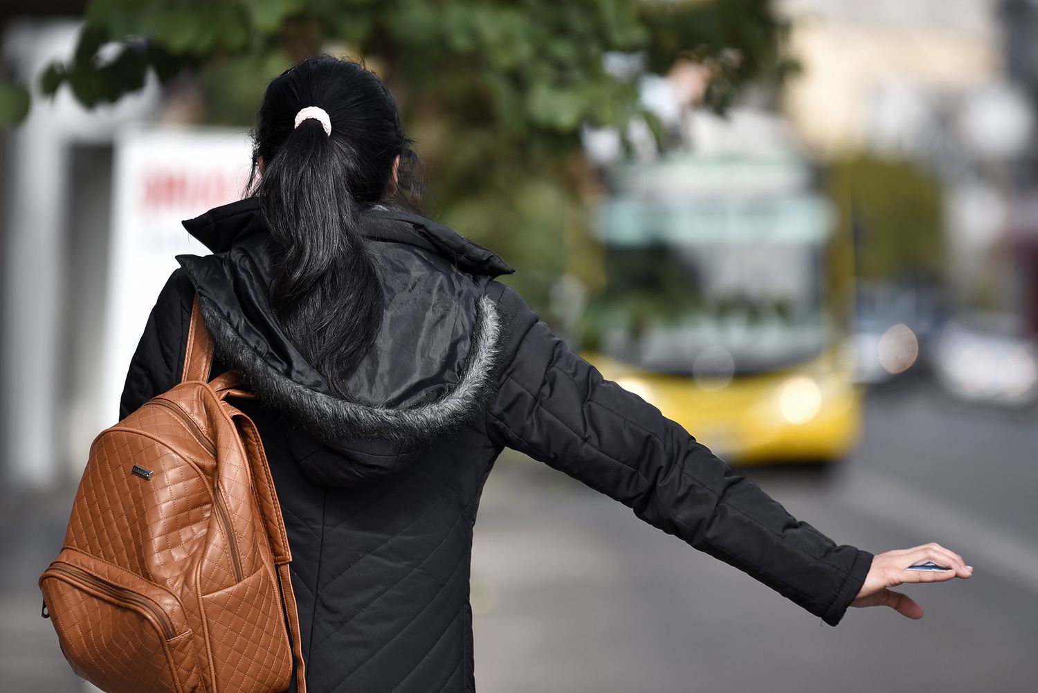 Boleto de colectivos: ¿cuánto costará en la ciudad de Santa Fe?