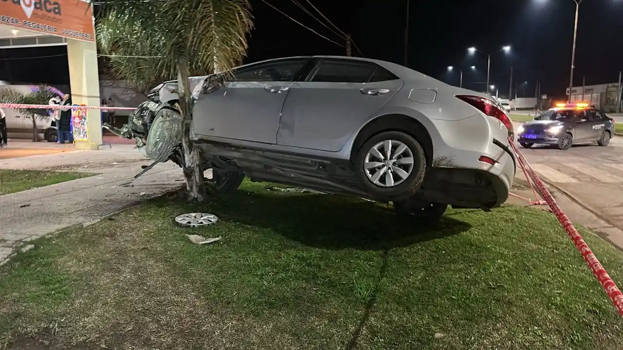 despiste auto