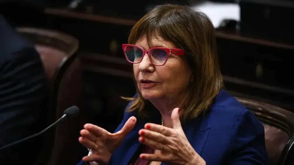Patricia Bullrich, senadora nacional.