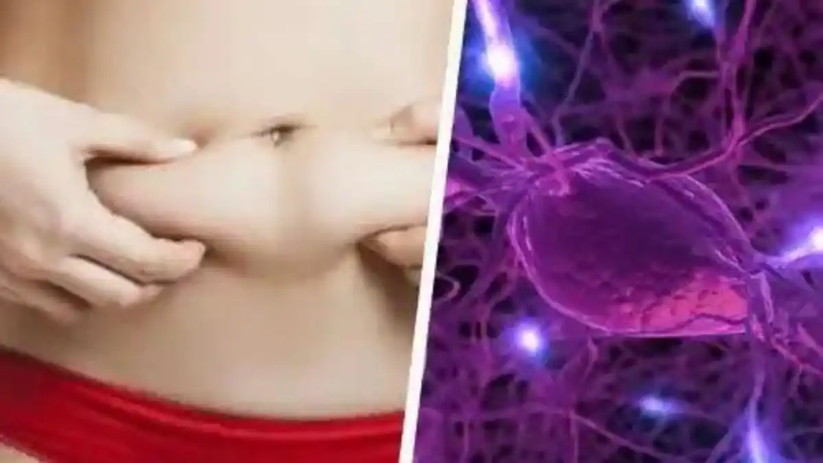 Así el desequilibrio hormonal daña tu aspecto físico (+Síntomas)