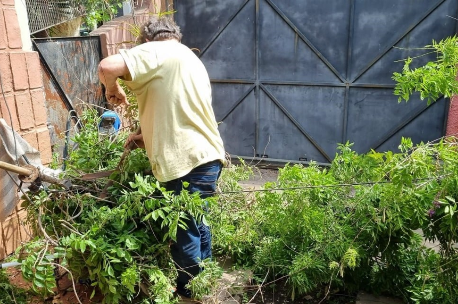 Un fuerte temporal azotó Casilda y causó destrozos