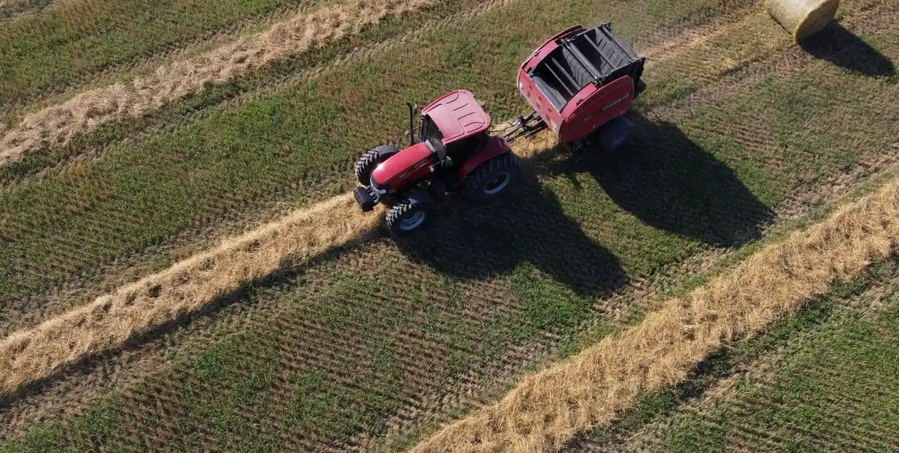 Imagen ilustrativa. Crédito: Luis Cetraro