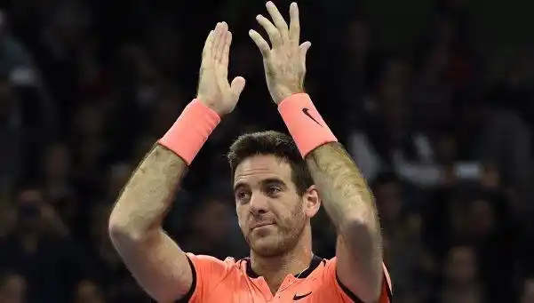 Del Potro volvió con todo: ganó su primer título tras dos años y medio