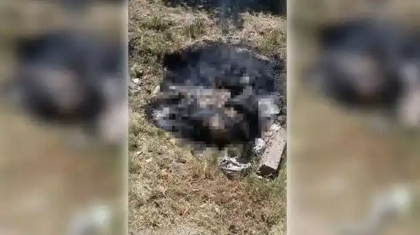 Horror en José C. Paz: Vecinos hallaron un cadáver calcinado dentro de un sillón que dejaron abandonado 