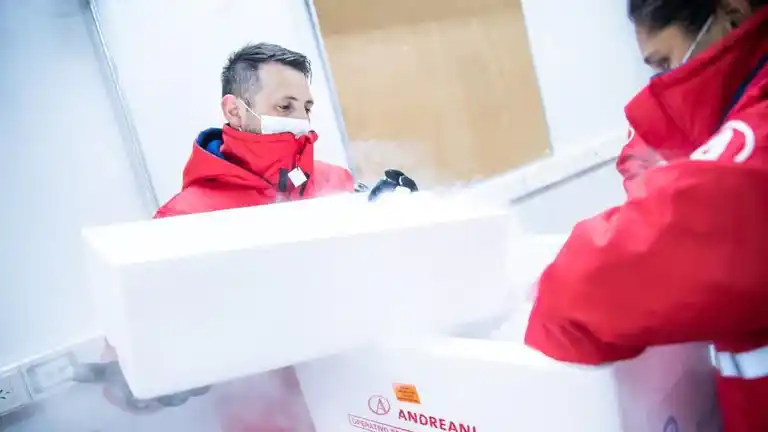 Cómo se distribuirán entre las provincias las vacunas de AstraZeneca que llegaron este lunes a la Argentina