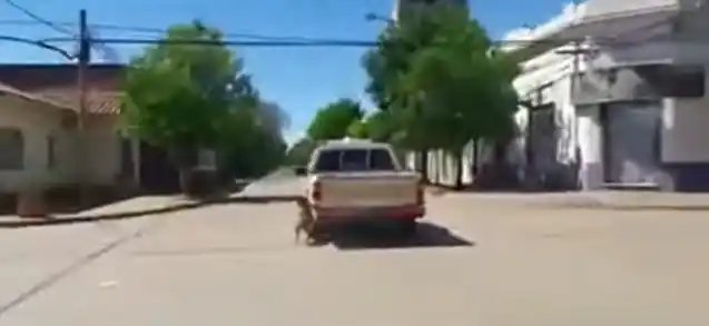 [VIDEO] Chacabuco: Suspenden a empleado municipal que arrastró a un perro con una camioneta