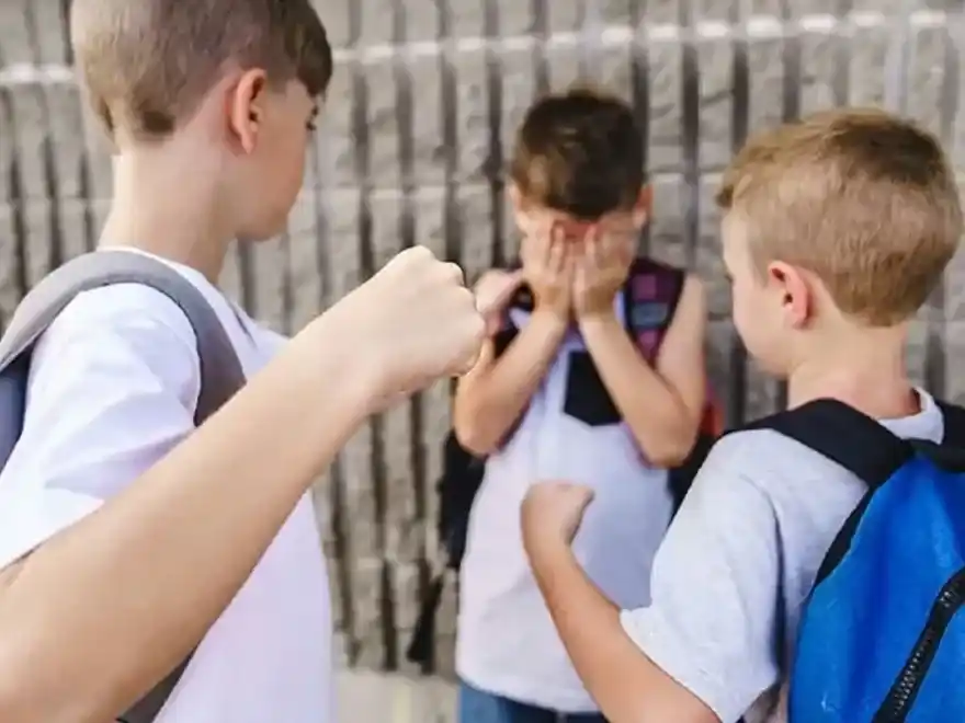 Preocupación en Entre Ríos: uno de cada tres estudiantes primarios sufre bullying o ciberbullying