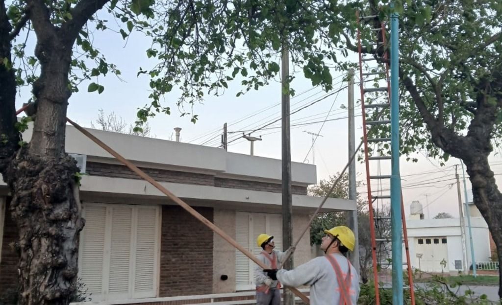 Continúan las tareas de poda en distintos sectores de la ciudad