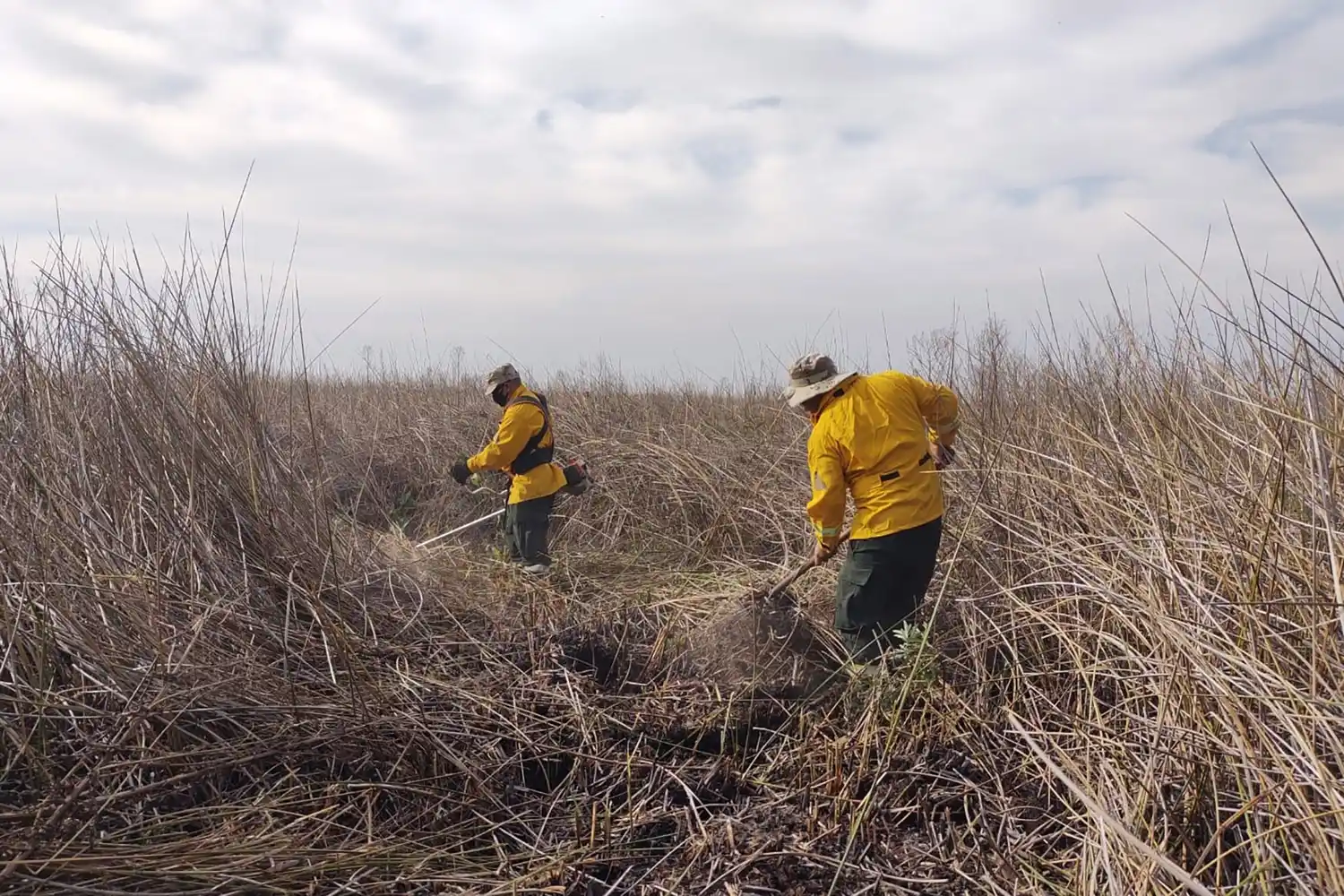 Continúan los operativos de combate de incendios en islas del Delta