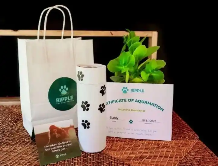 acuamacion perrito - 2