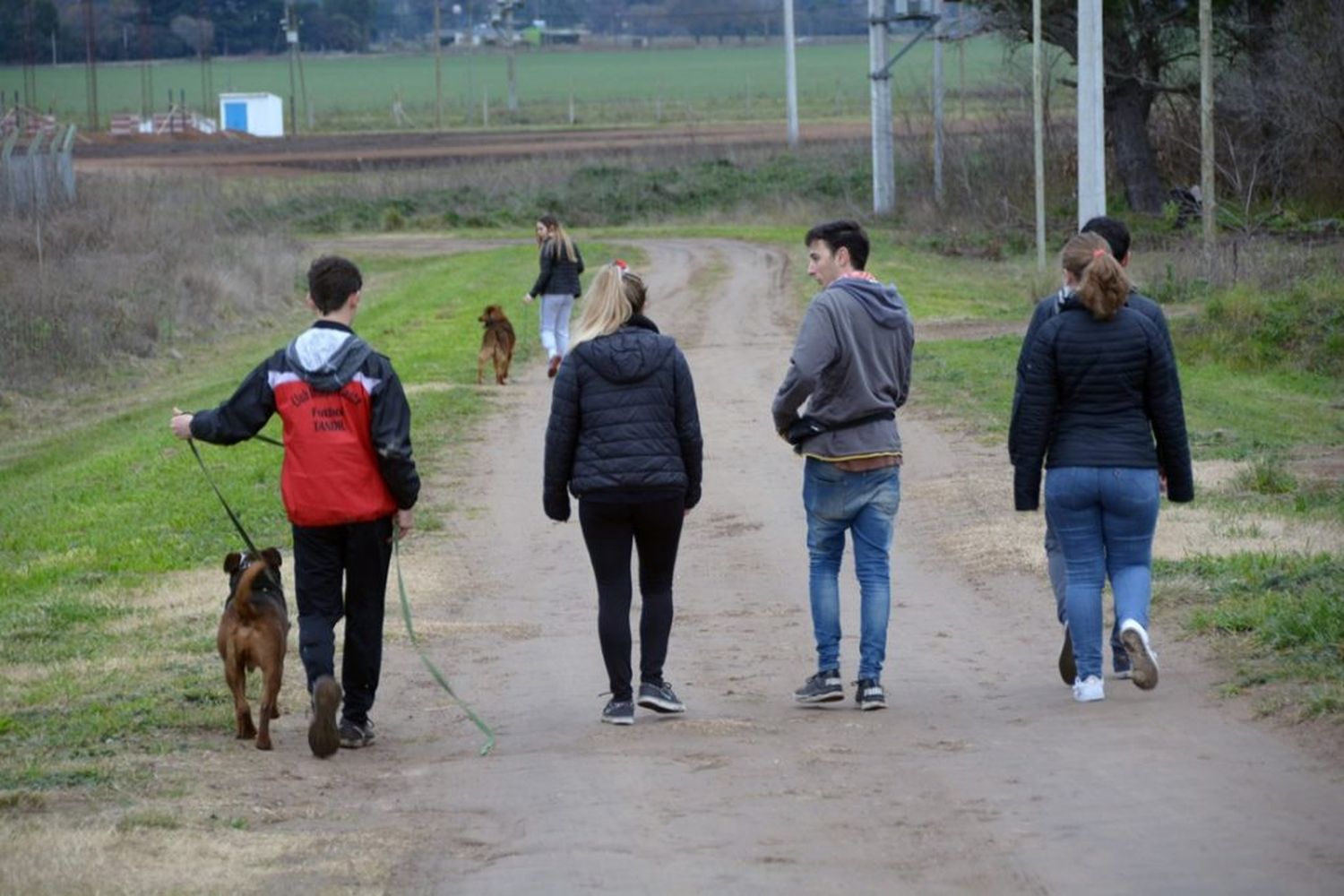 Adoptame Tandil sigue buscando familias para los perros de la ciudad