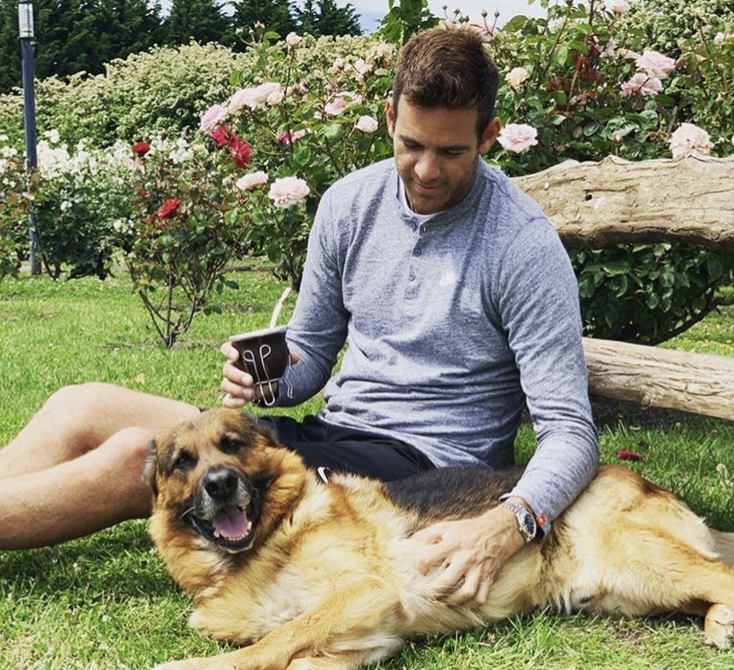 El emotivo mensaje de despedida de Del Potro
