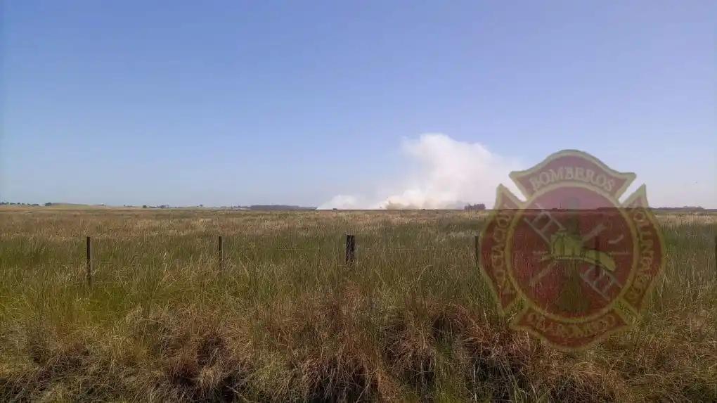 Bomberos Voluntarios de Claromecó controlaron un incendio forestal