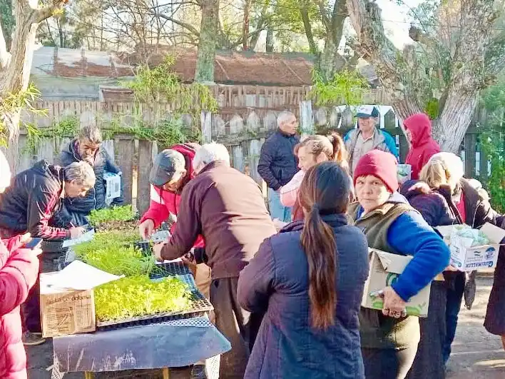 El programa de huertas familiares superó las 500 familias beneficiadas