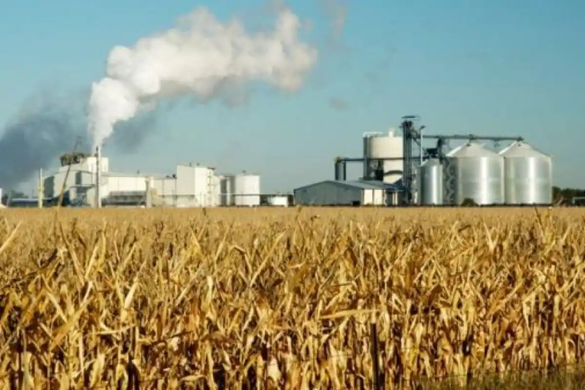 Reunión informativa en la Comisión de Agricultura de la Cámara de Diputados de la Nación.