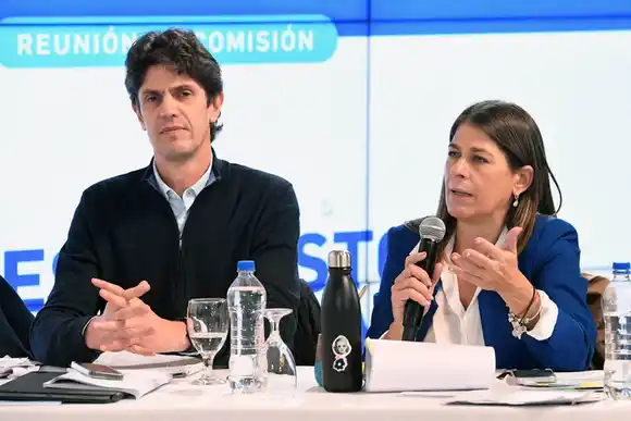 El escándalo de la ANDIS y el fentanilo llegan a la AGN: senadores piden la apertura de una investigación