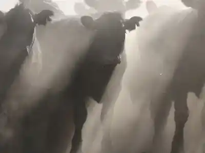 Más novillitos a los corrales y menos a las plantas de faena