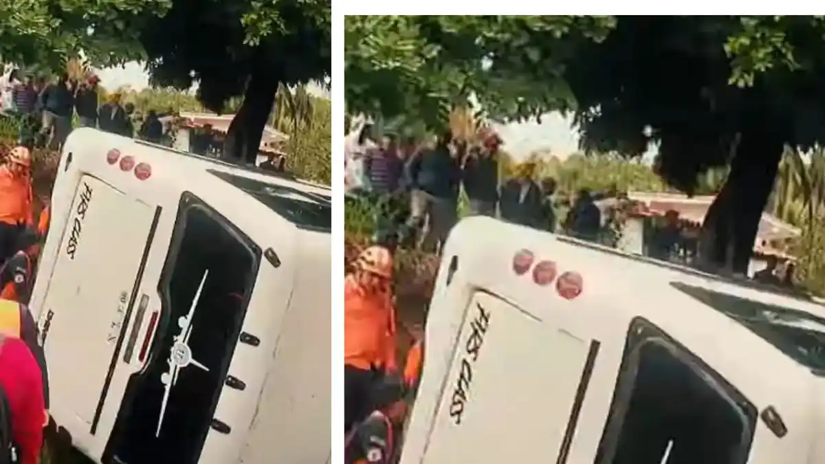 APARATOSO ACCIDENTE cobra la vida de un niño en Táchira: autobús cayó por un abismo