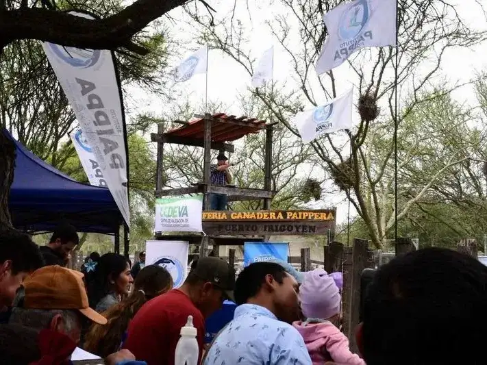 Se realizó con éxito la Feria Ganadera en
Puerto Irigoyen, comercializaron 435 cabezas