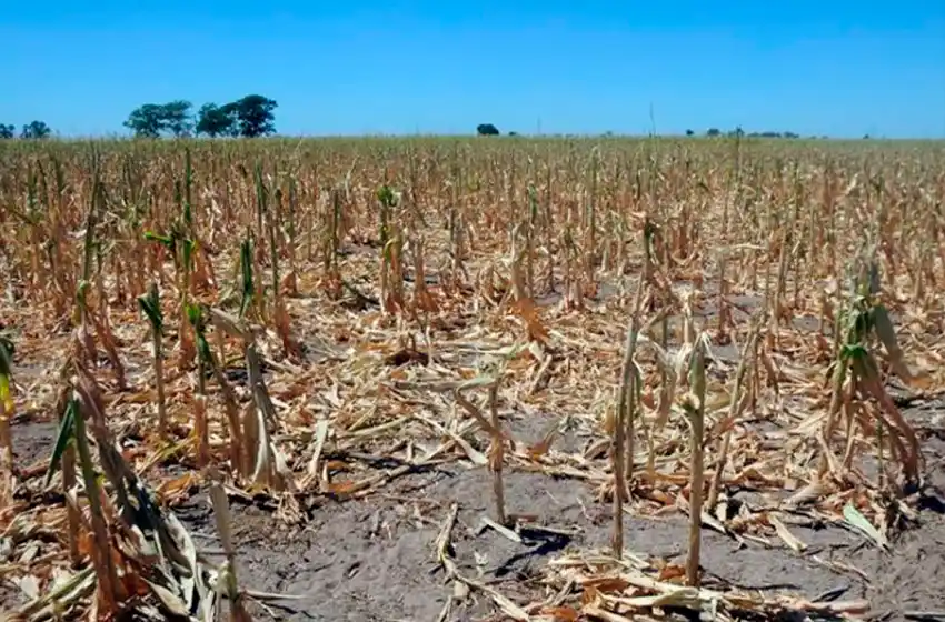 Catástrofe ambiental: el invierno de 2022 fue el séptimo más seco en 61 años