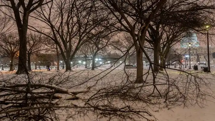 MAS 80 MILLONES DE PERSONAS AFECTADAS: tormenta de nieve golpea el este de EE.UU.