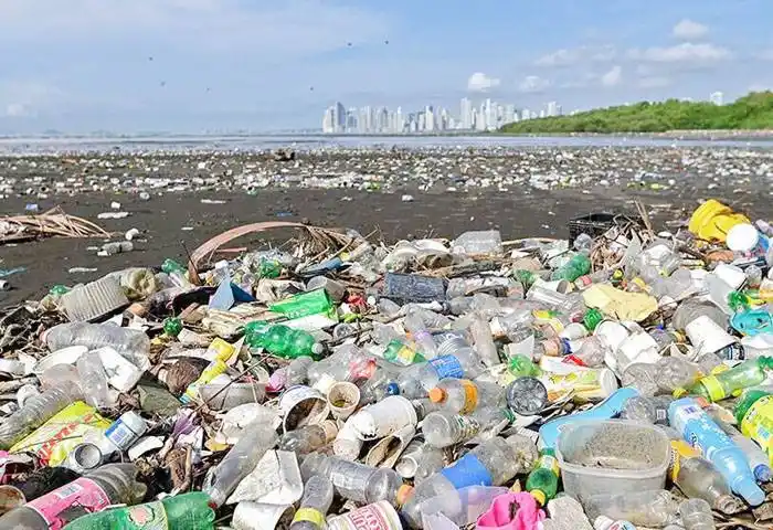 Argentina se suma a la propuesta de un acuerdo global para enfrentar la basura marina  y la contaminación plástica