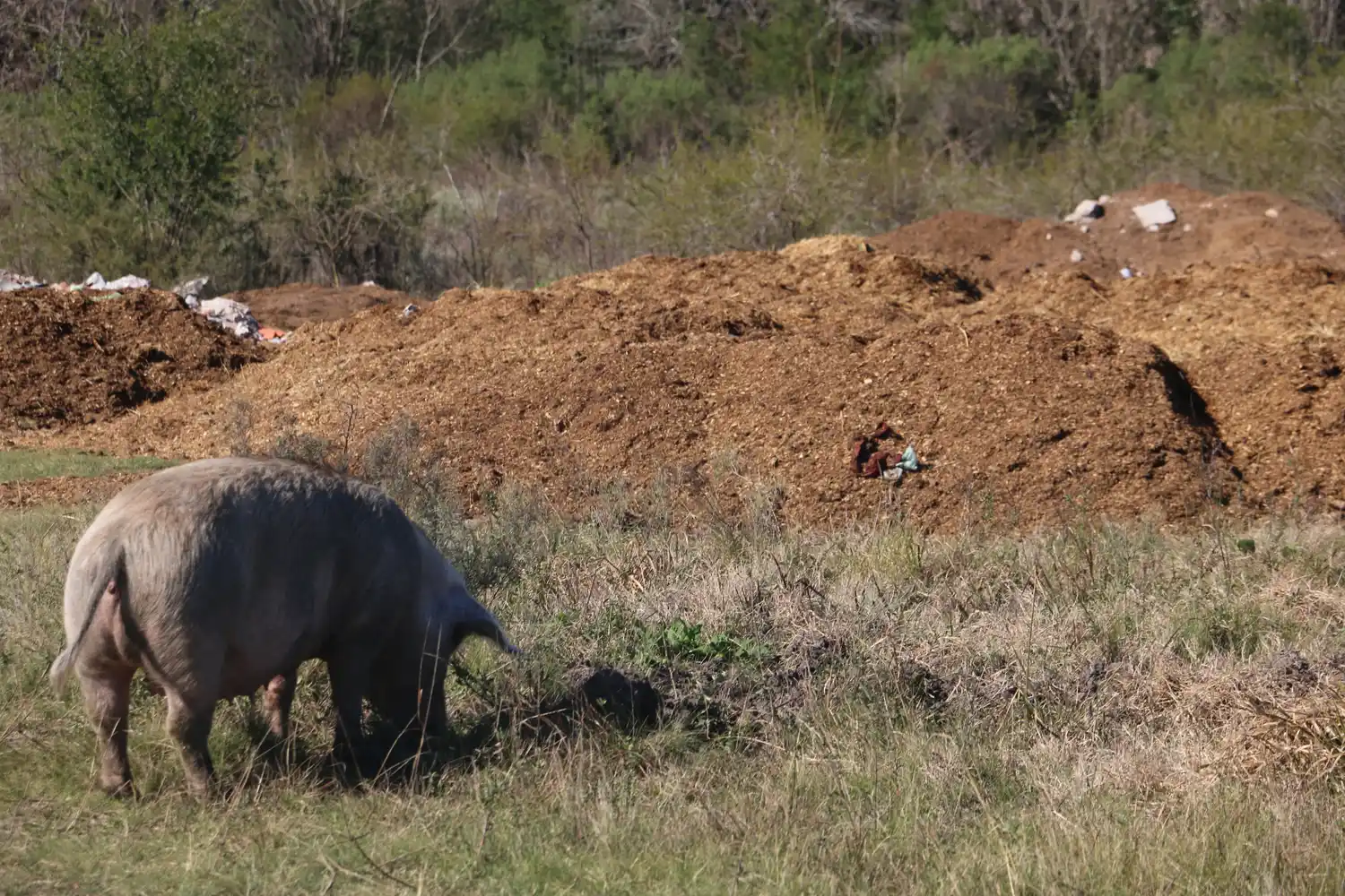 Vecinos de calle Tropas se quejaron por fuerte olores del Hipódromo