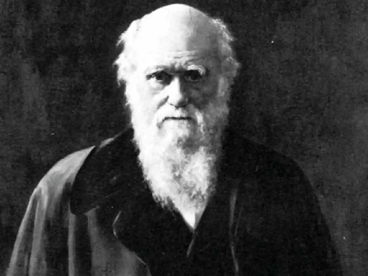 Un "regalo" inesperado y misterioso: reaparecieron los cuadernos de Darwin