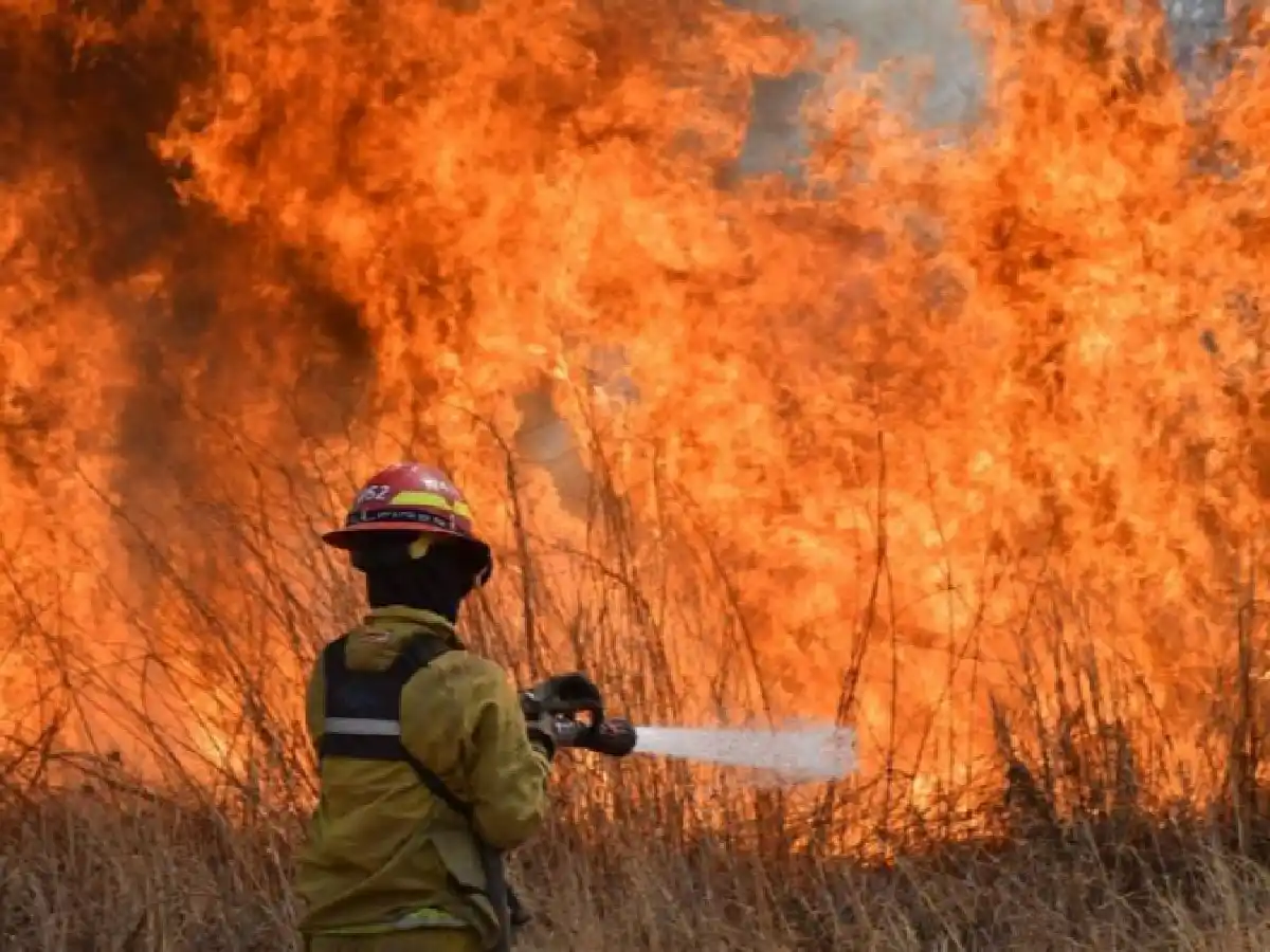 El Gobierno oficializó la creación de una Unidad de Análisis y Prevención de Delitos Ambientales