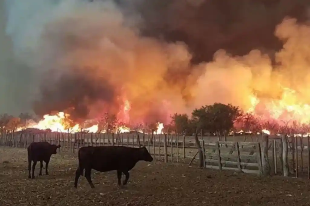 Fuego cenca de las viviendas