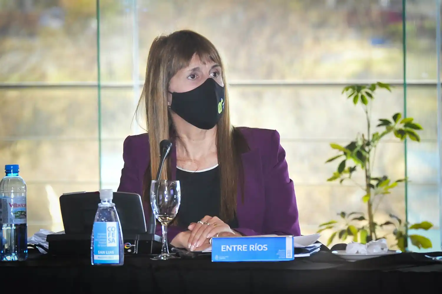 La Ministra de Salud puso su renuncia a disposición del Gobernador