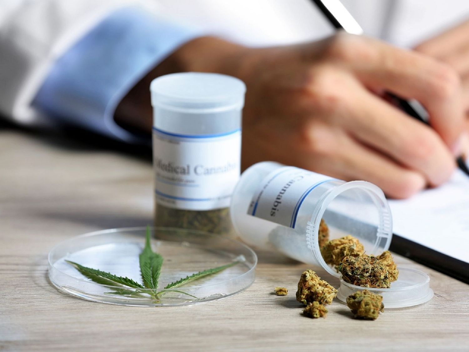 Tratan una nueva ley de cannabis medicinal 