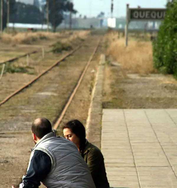 Se juntaron más de 6.000 firmas solicitando la vuelta del tren