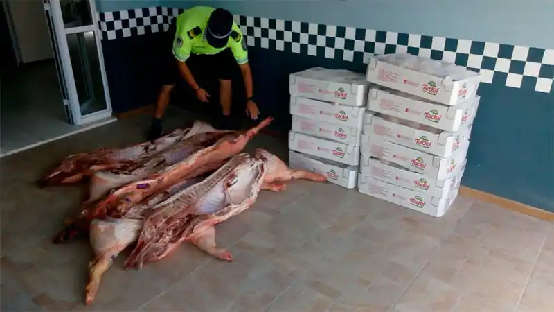 Decomisaron carnes de pollos y cerdos en control policial