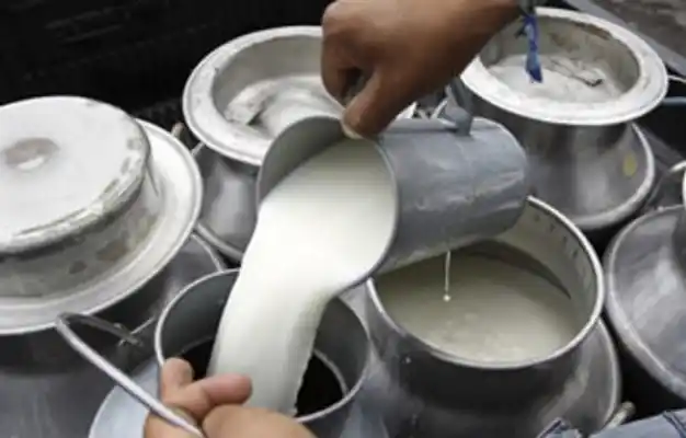 Por la crisis láctea, regalarán miles de litros de leche