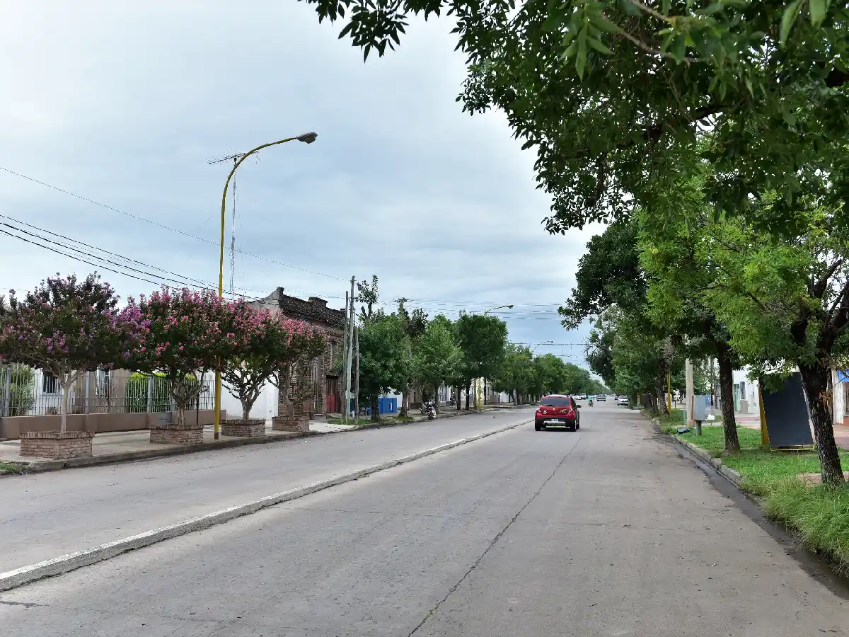 Denuncian matanza de gatos en barrio Sarmiento: “Le  pedimos a la Justicia que actúe”  