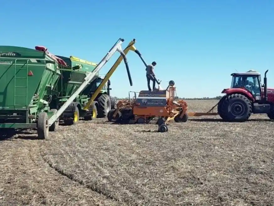 Con clima seco y heladas, el trigo ya cubre el 90 % del área de intención en región núcleo.