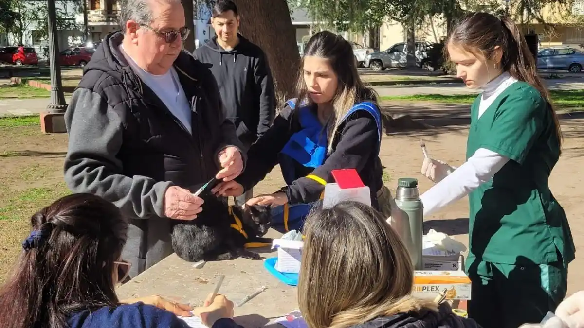 Se realizará una nueva jornada de vacunación antirrábica en el Corsódromo
