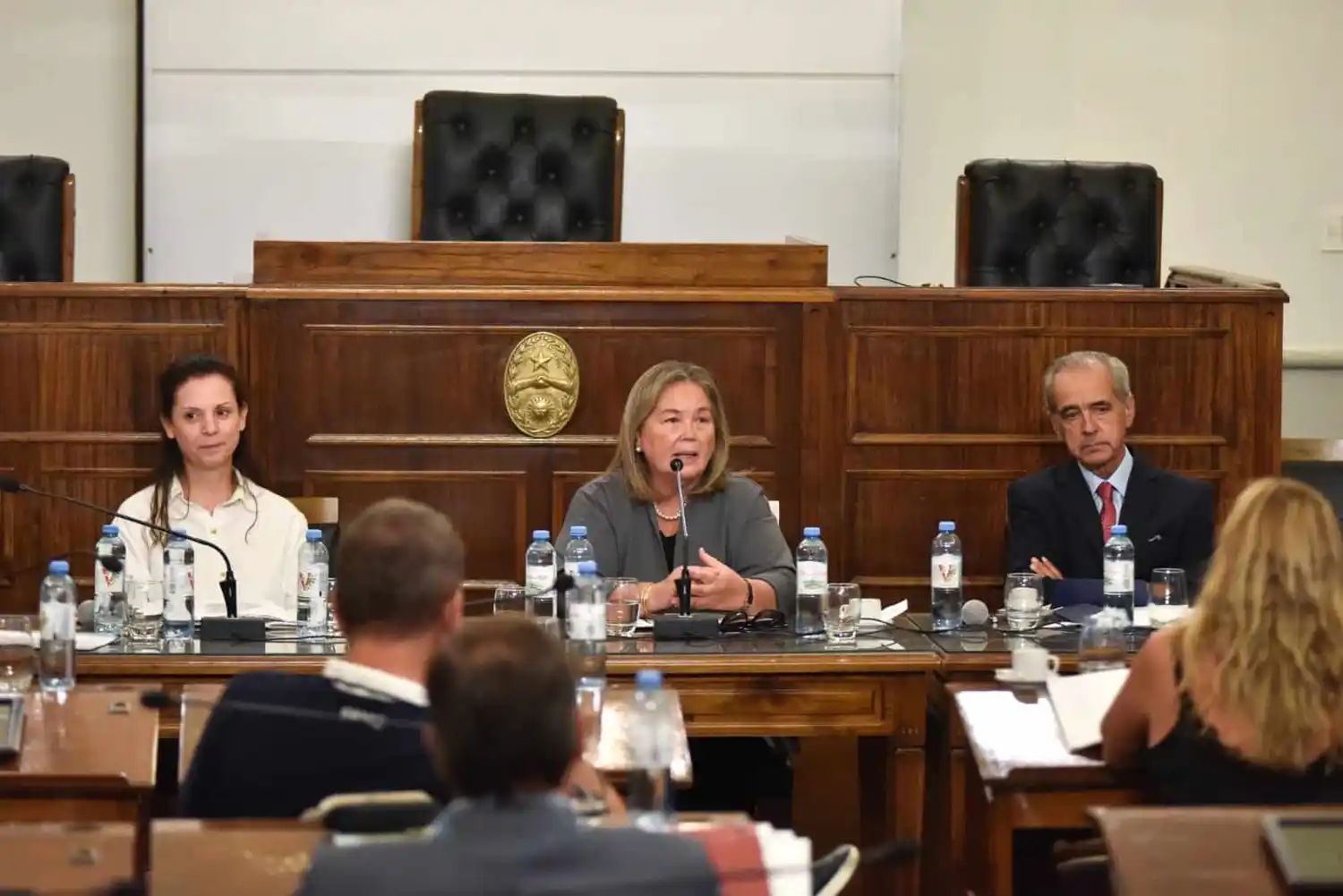 El STJ fundamentó ante el Senado el pedido de un nuevo Juzgado y regularización de cargos