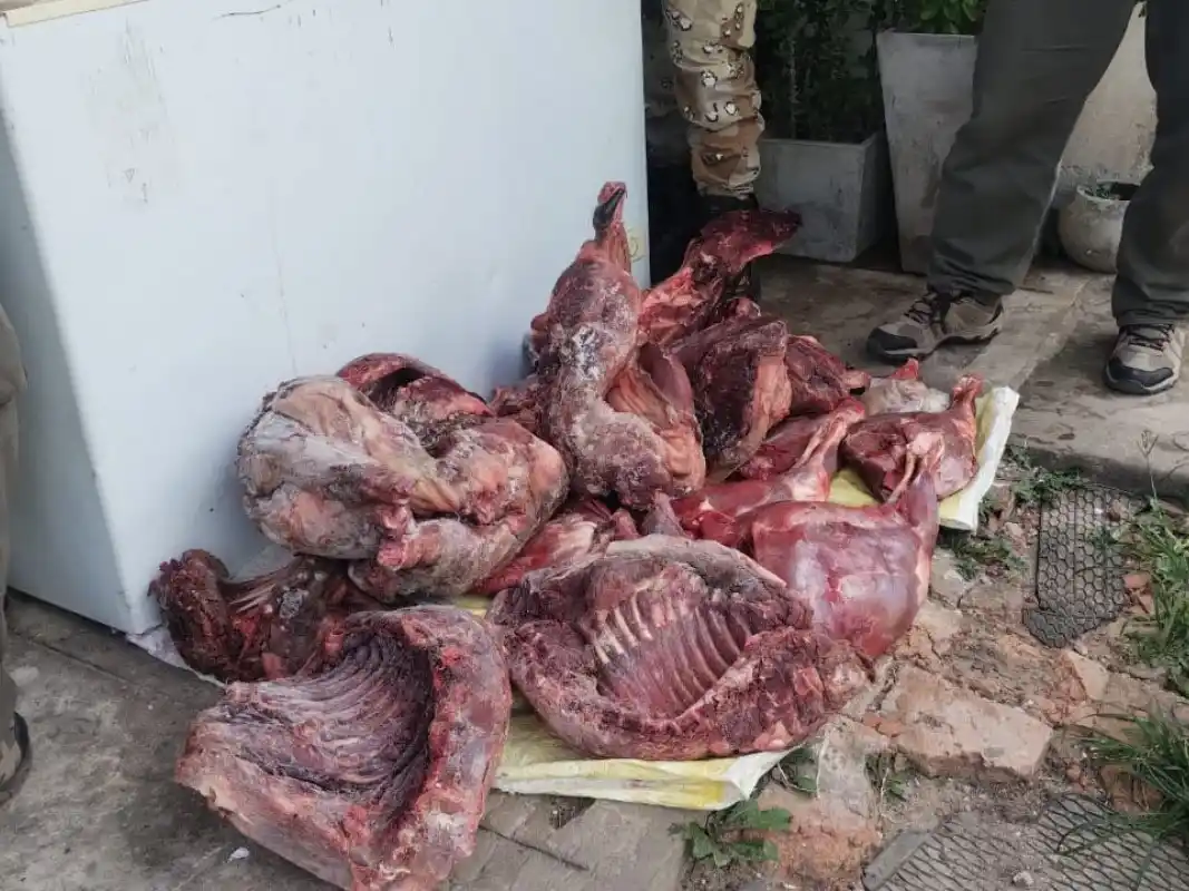 Decomisaron 105 kilos de carne de dudosa procedencia