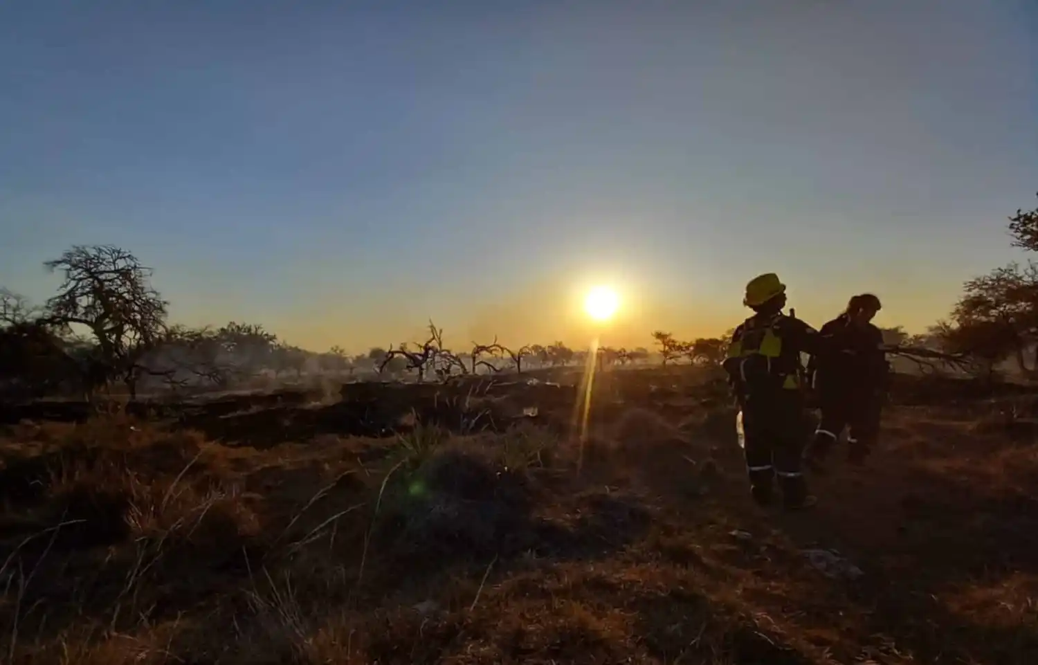 El Gobierno nacional creó una unidad de prevención de delitos ambientales