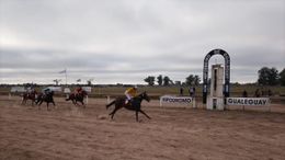 Sensacional jornada hípica este domingo 9 de noviembre