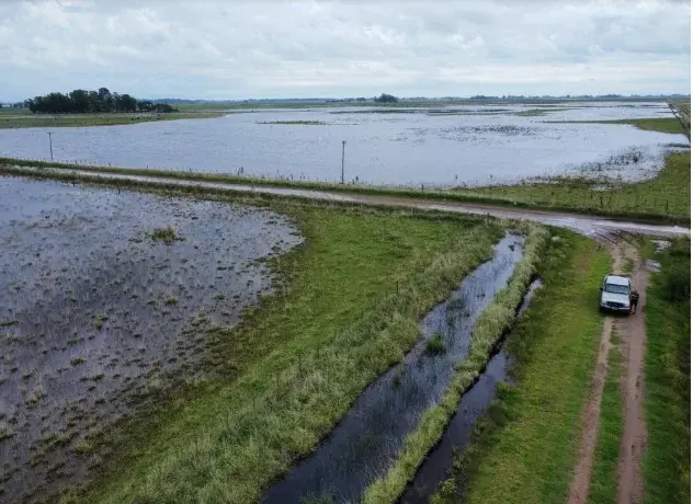 Un campo inundado en el corazón de la provincia de Buenos Aires.