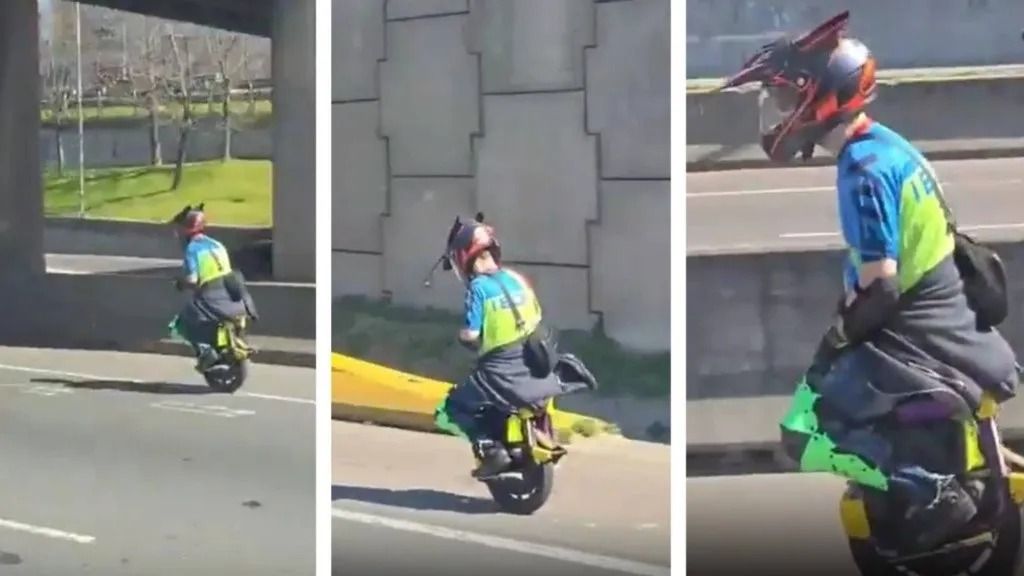 Insólita situación sobre Panamericana