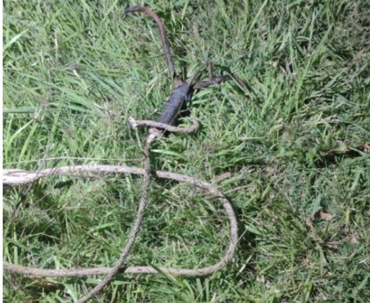 Intentó robar cables y dejó sin servicio a varias localidades de Olavarría