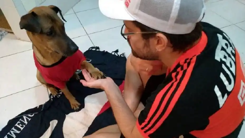 Vende su entrada de la Copa Libertadores para salvar a su perro con cáncer