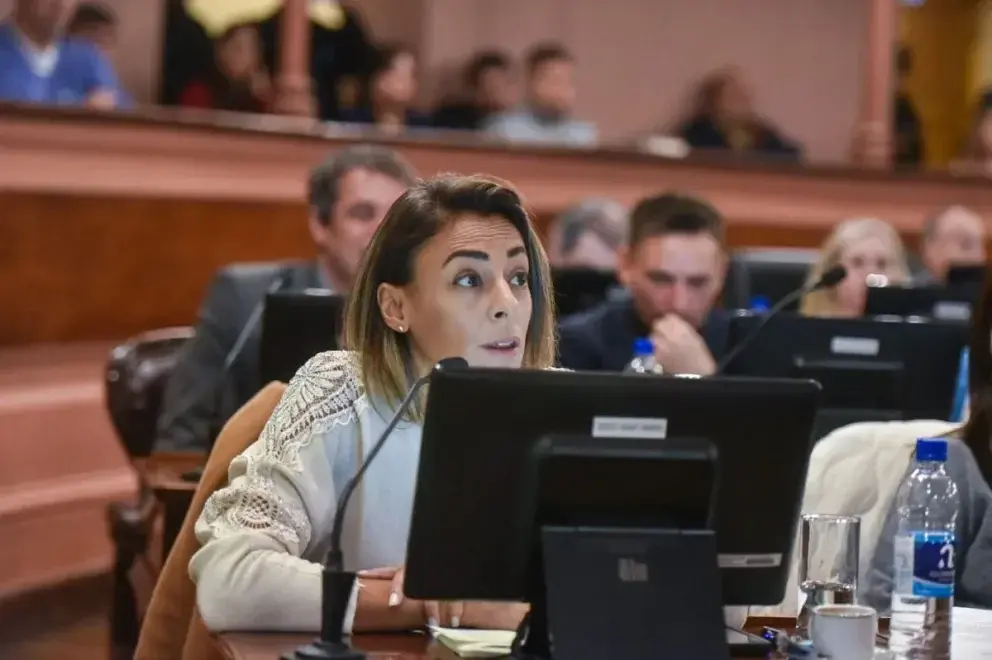 Más para Entre Ríos propone medidas para proteger al comercio local frente a la competencia desleal